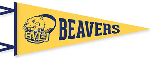 SGI Preview – Buena Vista Beavers Football 2025